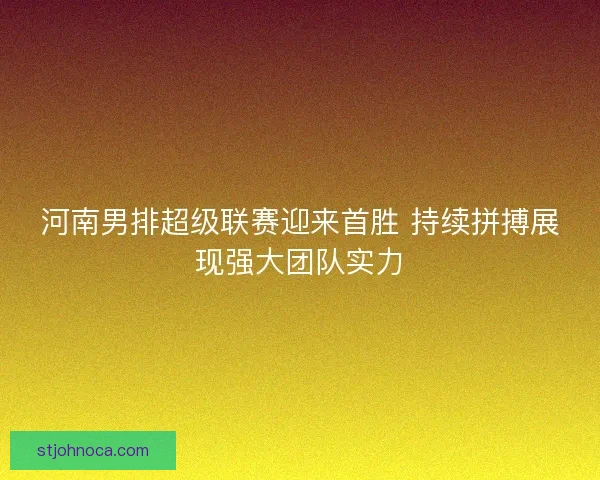河南男排超级联赛迎来首胜 持续拼搏展现强大团队实力